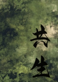 高速公路每年投资多少